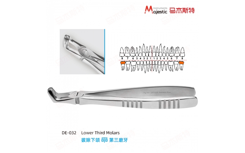 Adult Extracting Forceps English Pattern