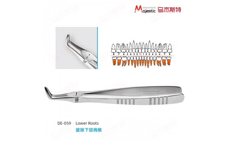 Adult Extracting Forceps English Pattern