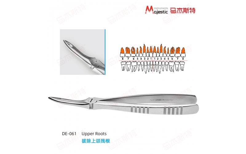 Adult Extracting Forceps English Pattern