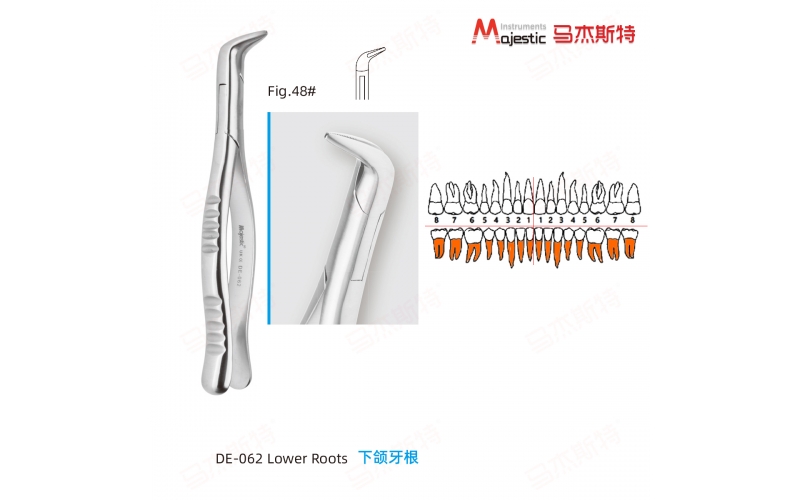 Adult Extracting Forceps American Pattern