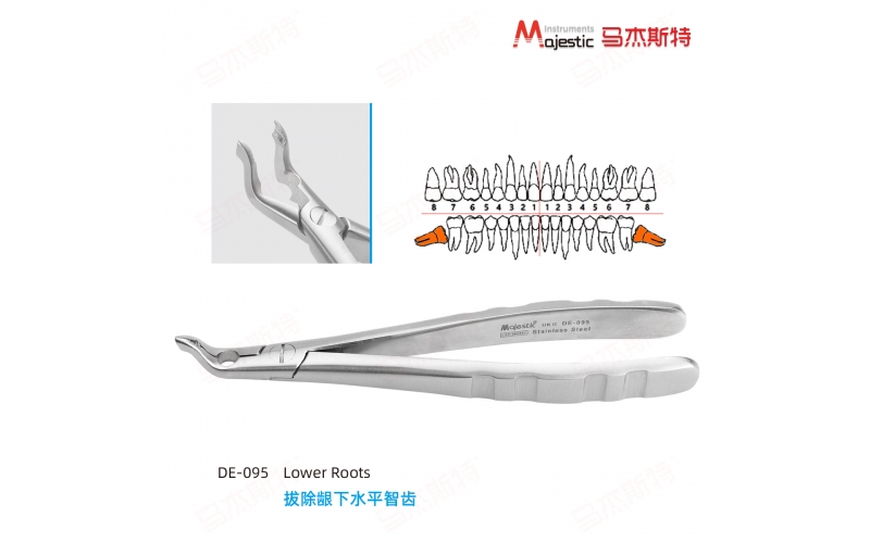 Adult Extracting Forceps English Pattern