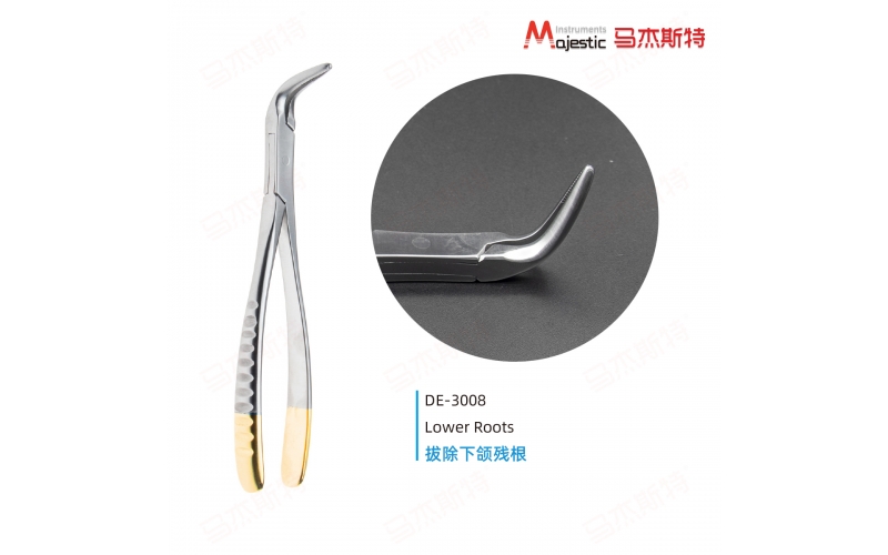 Wisdom And Root Forceps
