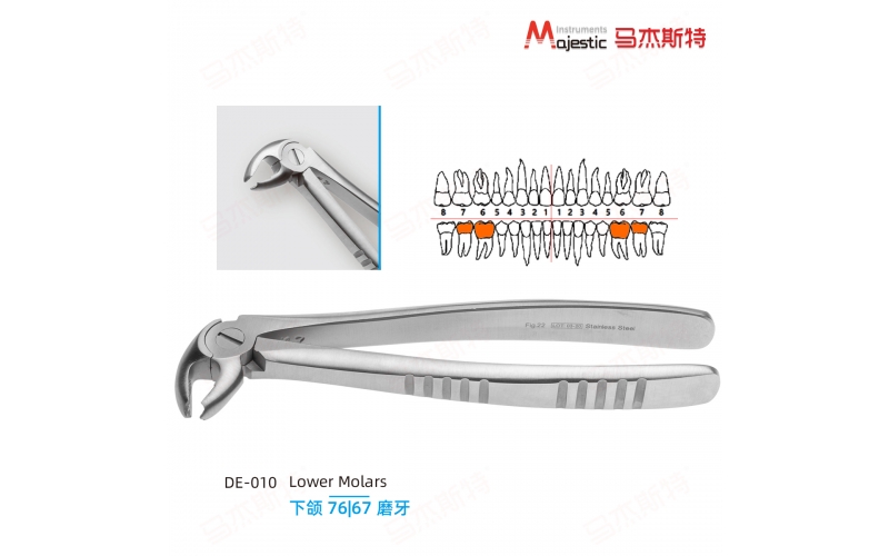 Adult Extracting Forceps English Pattern Lower Molars Fig.22