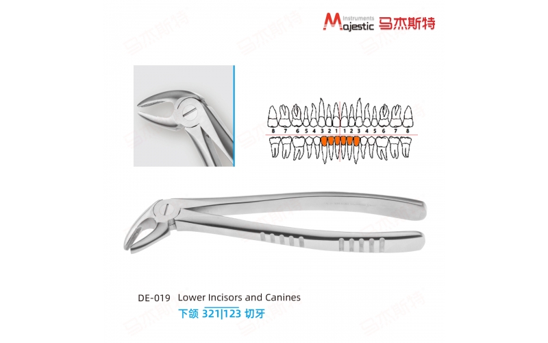 Adult Extracting Forceps English Pattern Lower incisors and canines Fig.38