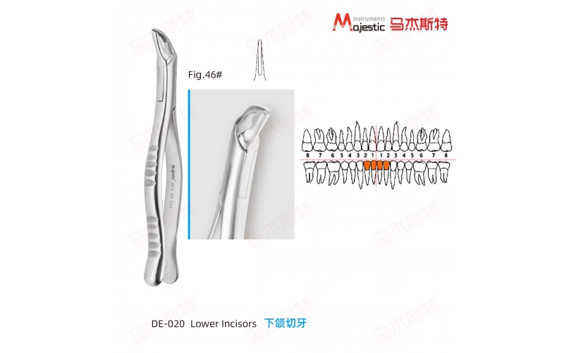 Adult Extracting Forceps American Pattern Lower Incisors Fig.46#