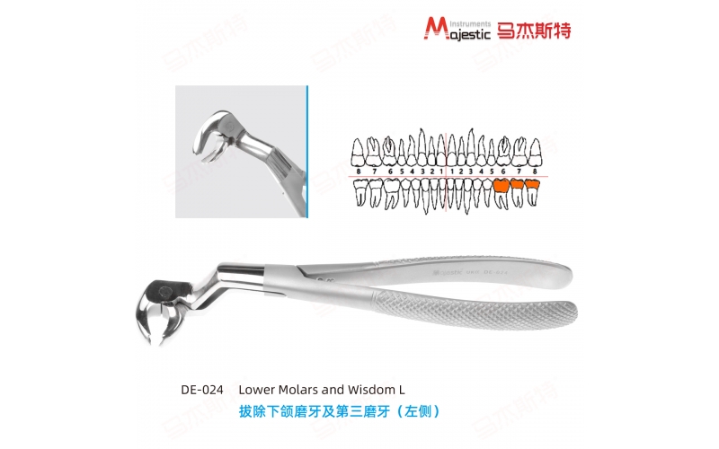 Routurier Extracting Forceps Englsih pattern lower molars and wisdom left Fig 212(22 1/2L)