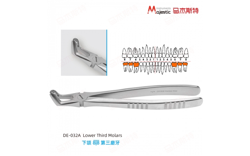Adult Extracting Forceps English Pattern Lower Third Molars Fig.79