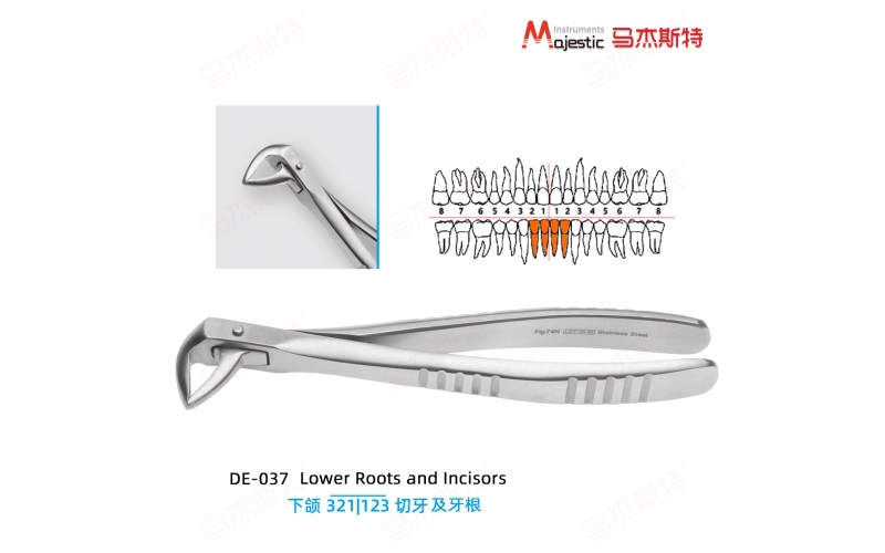 Adult Extracting Forceps English Pattern Lower Roots and Incisors Fig.74N