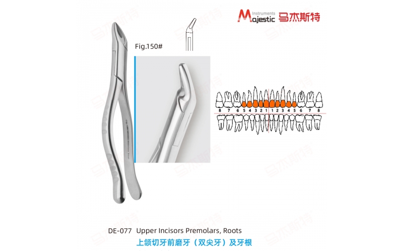 Adult Extracting Forceps American Pattern Upper Incisors Premolars and Roots Fig.150#