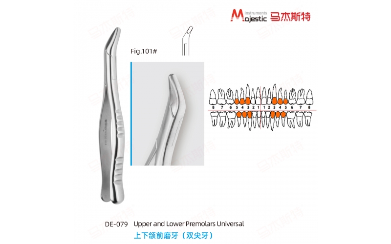 Adult Extracting Forceps American Pattern Upper and Lower Premolars Universal Fig.101#