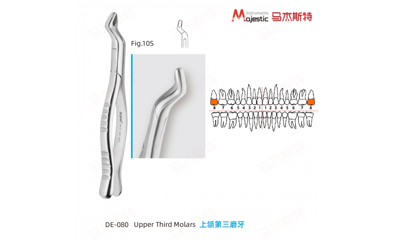 Adult Extracting Forceps American Pattern Upper Third Molars Fig.10S#