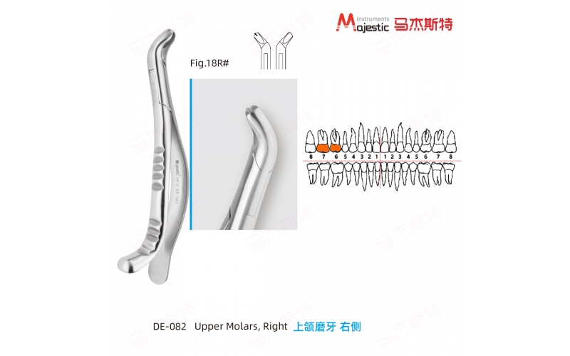 Adult Extracting Forceps American Pattern Upper Molars Right Fig.18R#