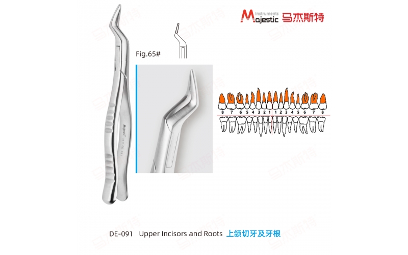 Adult Extracting Forceps American Pattern Upper Roots Fig.65#