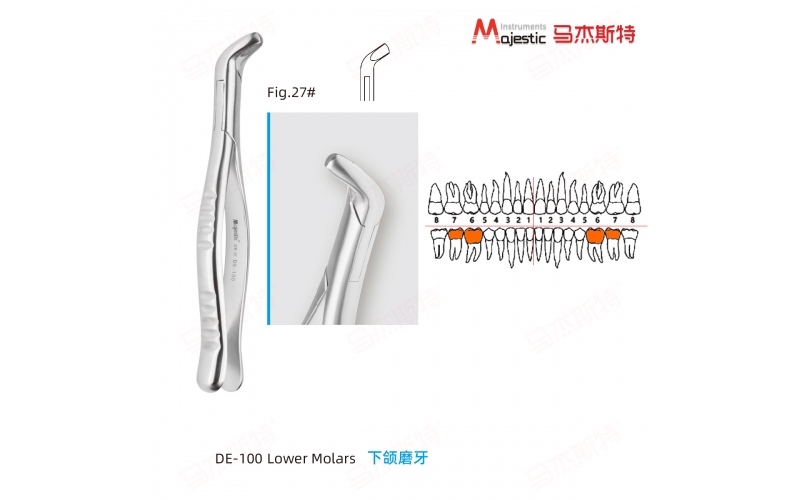 Adult Extracting Forceps American Pattern Lower Molars Fig.27#