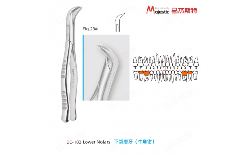 Adult Extracting Forceps American Pattern Lower Molars Fig.23#