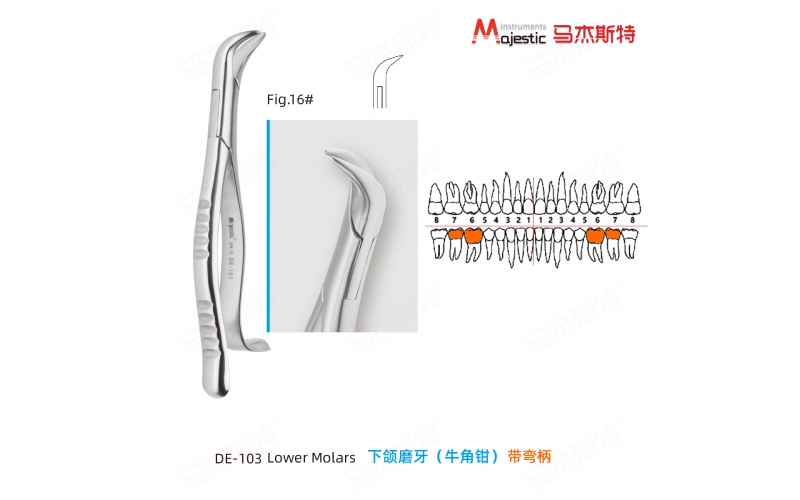 Adult Extracting Forceps American Pattern Lower Molars Fig.16#