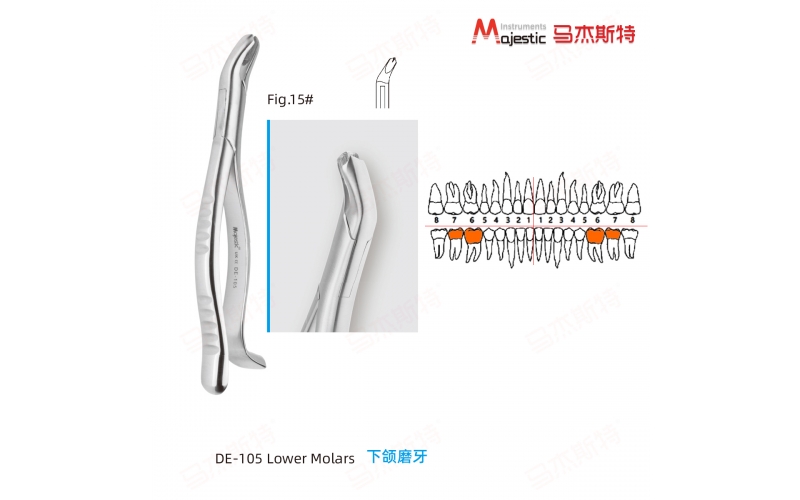 Adult Extracting Forceps American Pattern Lower Molars Fig.15#
