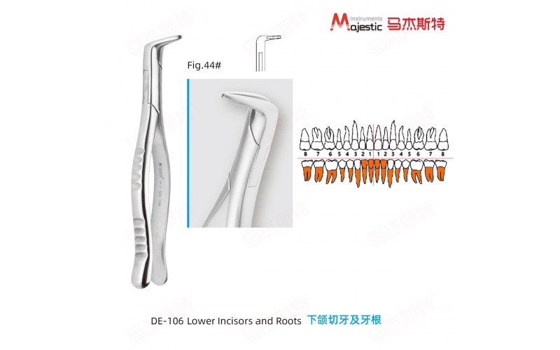 Adult Extracting Forceps American Pattern Lower Incisors and Roots Fig.44#