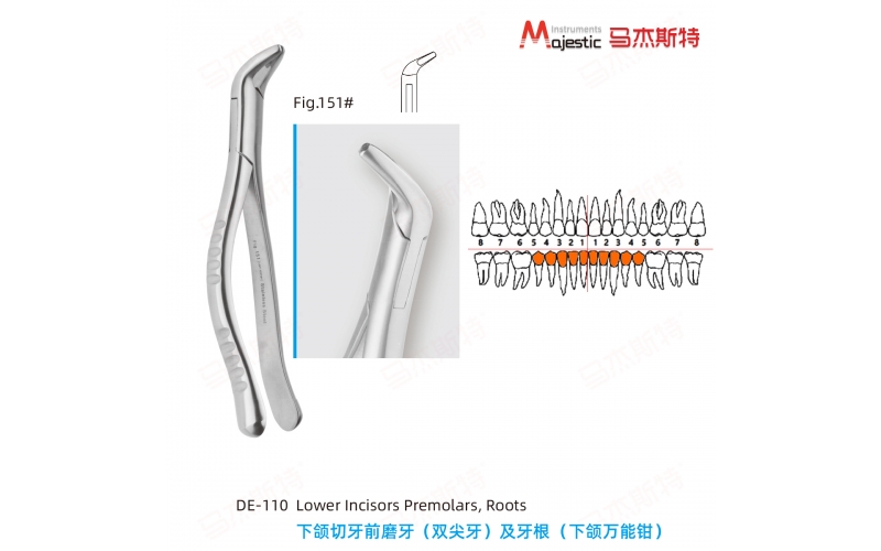 Adult Extracting Forceps American Pattern Lower Incisors Premolars and Roots Fig.151#