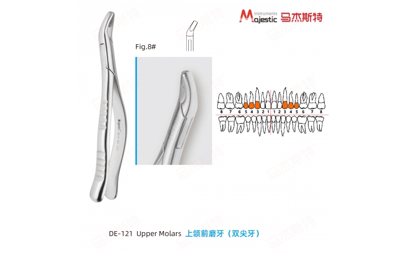 Adult Extracting Forceps American Pattern Upper Premolars Fig.8#