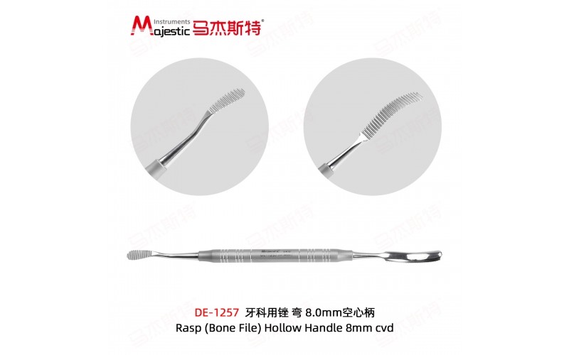 Rasp (Bone File) Hollow Handle 8mm cvd