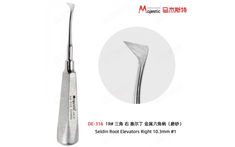 Seldin Root Elevators Right 10.3mm #1