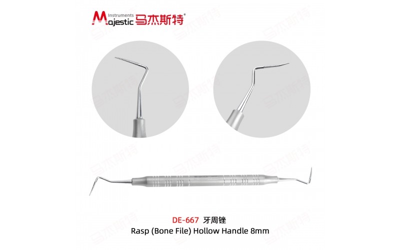 Rasp (Bone File) Hollow Handle 8mm